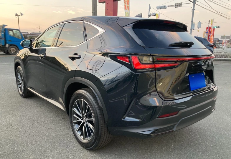 Lexus NX 350h, 2024 - 4