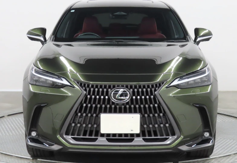 Lexus NX Green