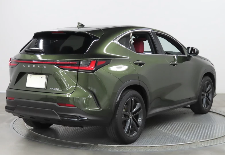 Lexus NX Green