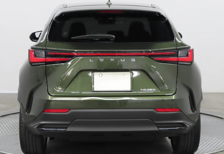 Lexus NX Green