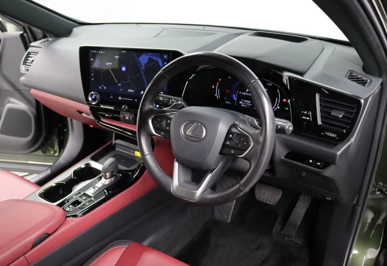 Lexus NX Green