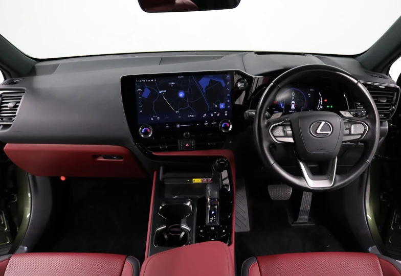 Lexus NX Green