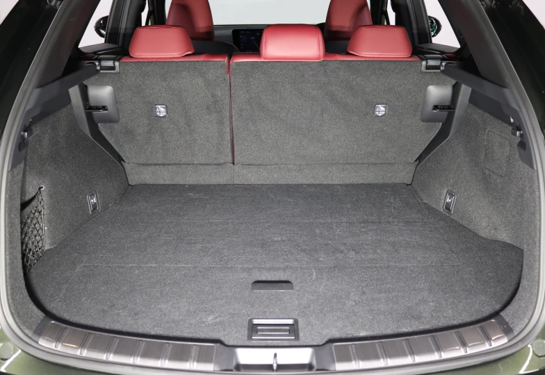 Lexus NX Green
