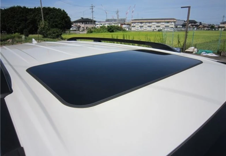 Toyota Land Cruiser 300 White