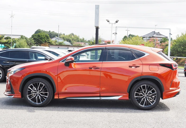 Lexus NX 350h Version L, 2023 - 8