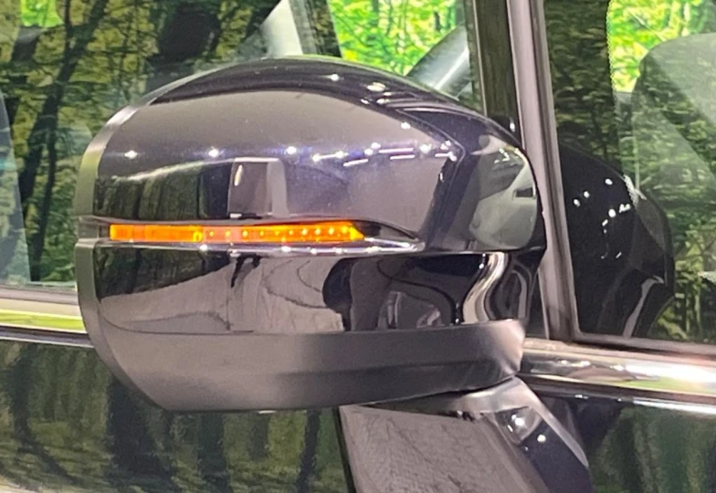 Honda Odyssey Blue