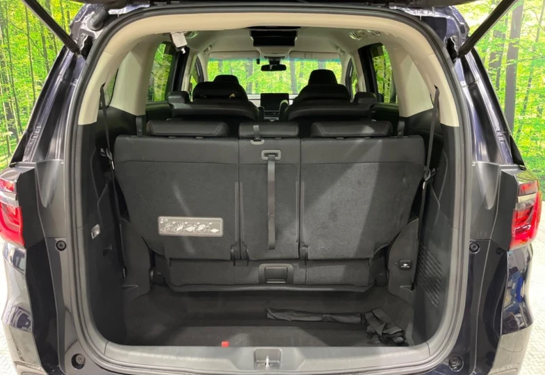 Honda Odyssey Blue