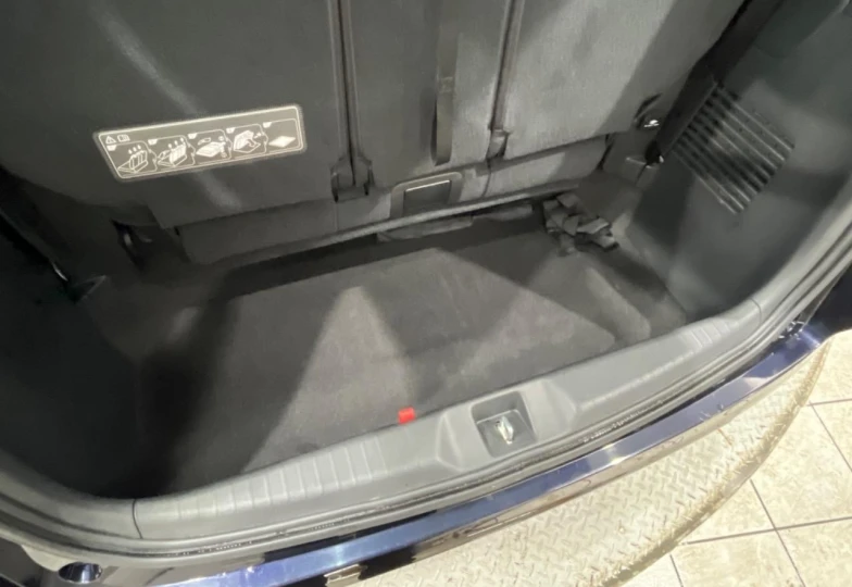 Honda Odyssey Blue