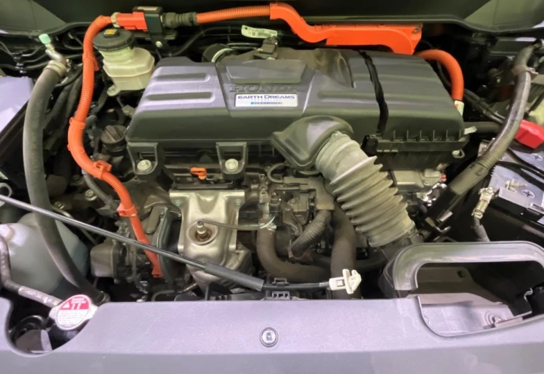 Honda Odyssey Blue