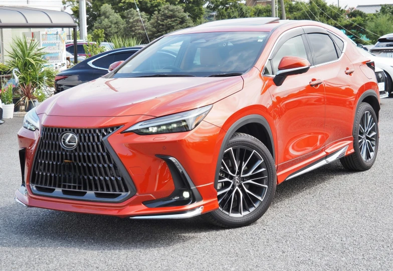 Lexus NX 350h, 2023 - 1