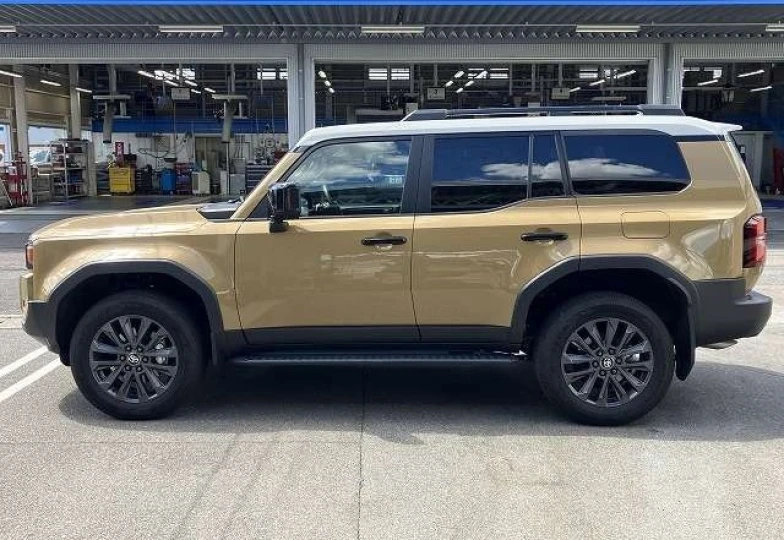Toyota Land Cruiser Коричневый