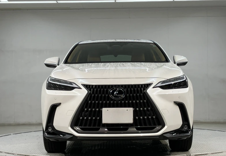 Lexus NX 450h+ Version L, 2022 - 2