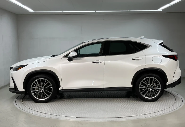 Lexus NX 450h+ Version L, 2022 - 4