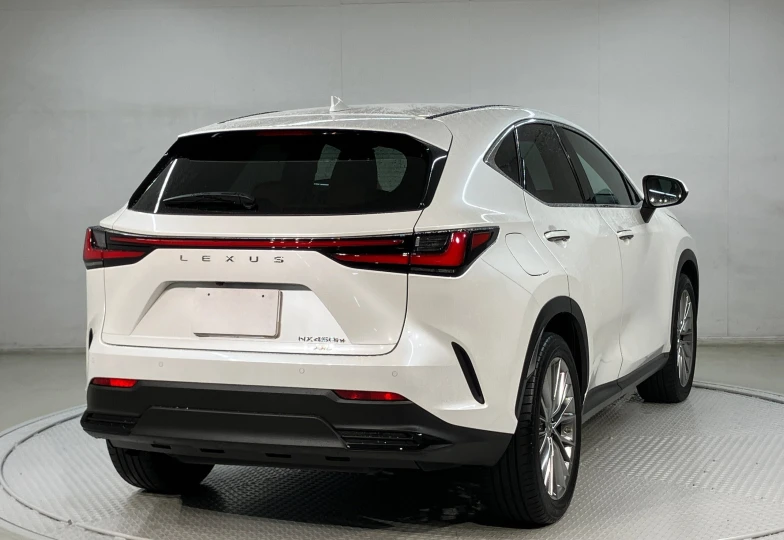 Lexus NX 450h+ Version L, 2022 - 5