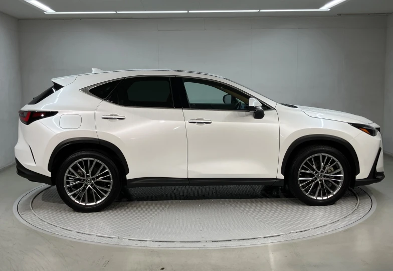 Lexus NX 450h+ Version L, 2022 - 6