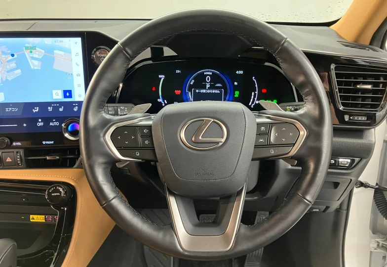 Lexus NX 450h+ Version L, 2022 - 7