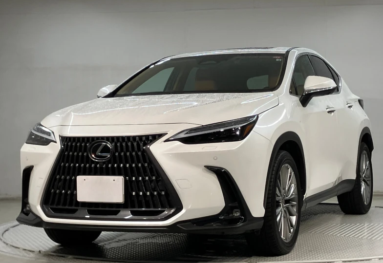 Lexus NX 450h+ Version L, 2022 - 0