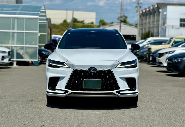 Lexus RX White