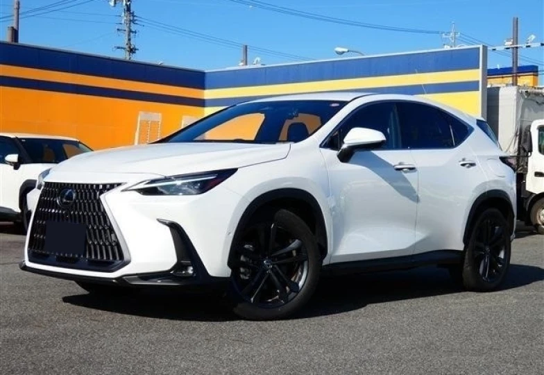 Lexus NX White