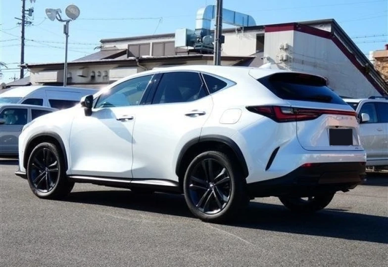Lexus NX White
