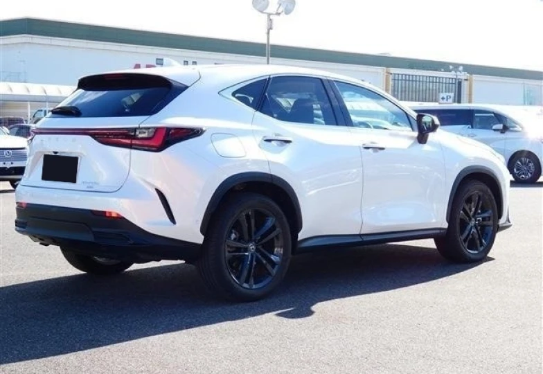 Lexus NX White