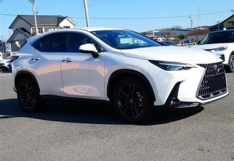 Lexus NX White