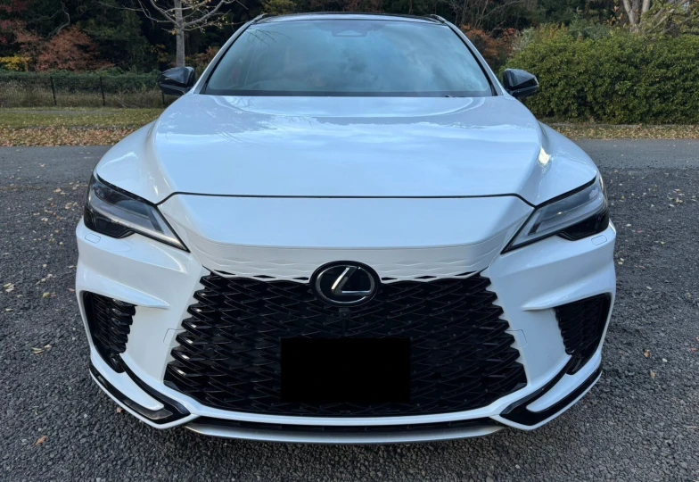 Lexus RX 500h F Sport+, 2023 - 3