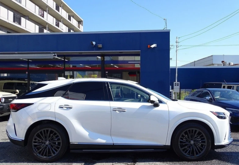 Lexus RX White