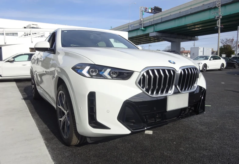 BMW X6 White