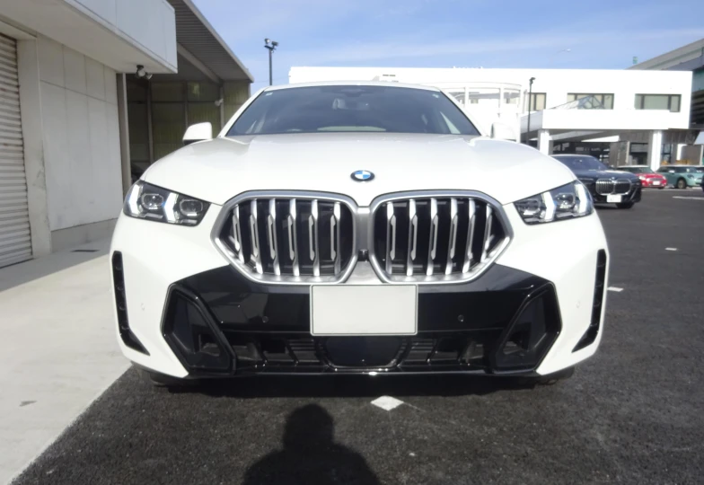 BMW X6 White