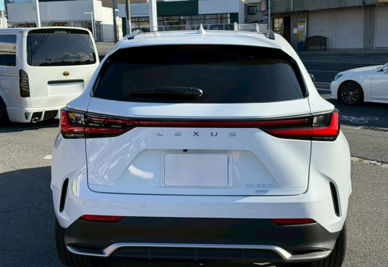 Lexus NX White