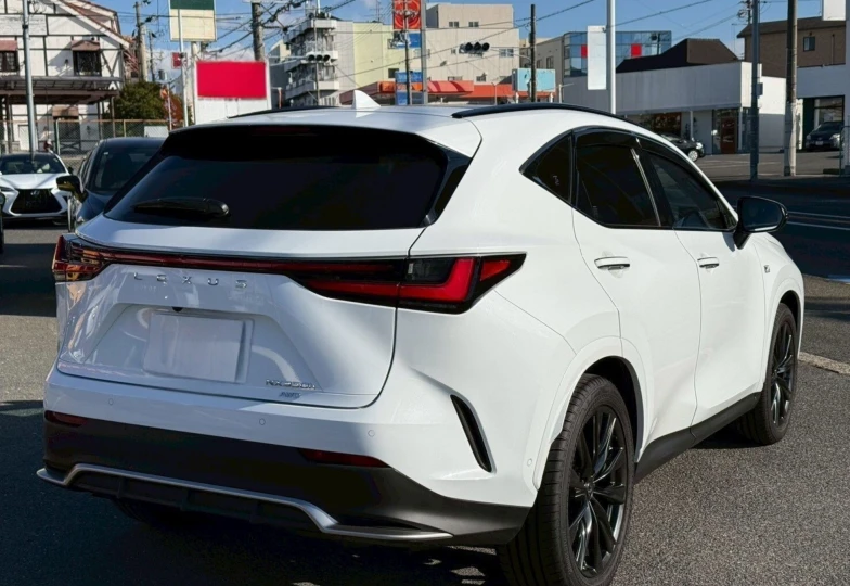 Lexus NX White