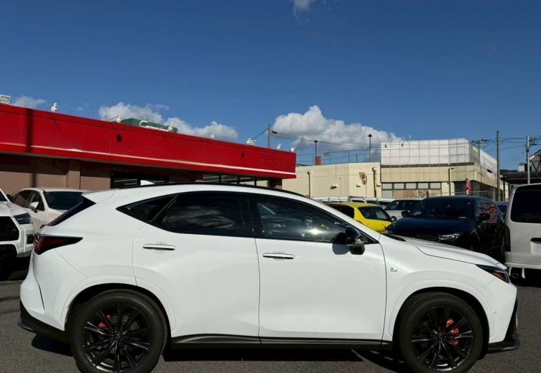 Lexus NX White