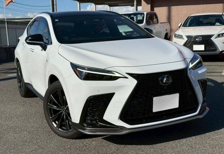 Lexus NX White
