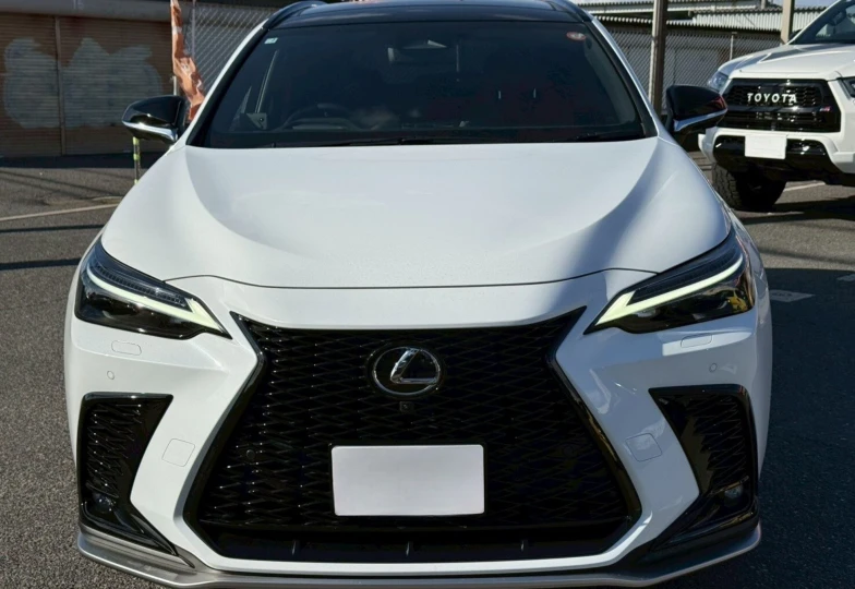 Lexus NX White