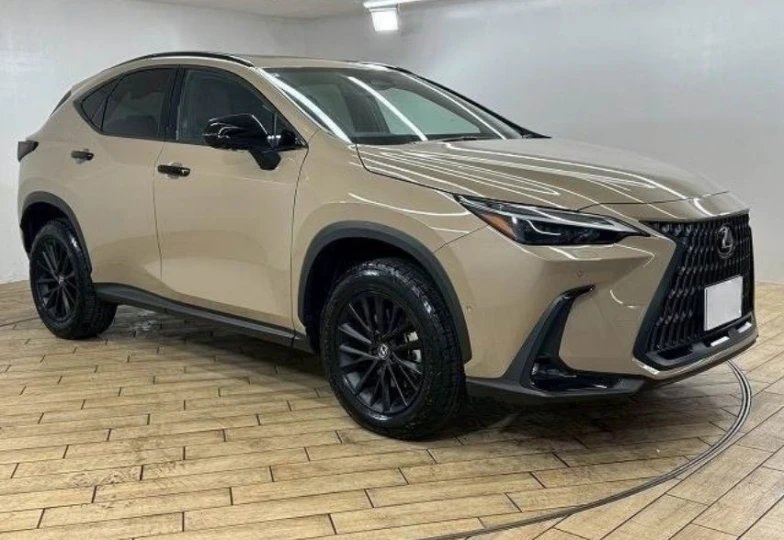 Lexus NX Beige