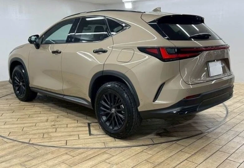 Lexus NX Beige