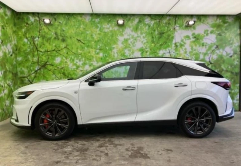 Lexus RX White