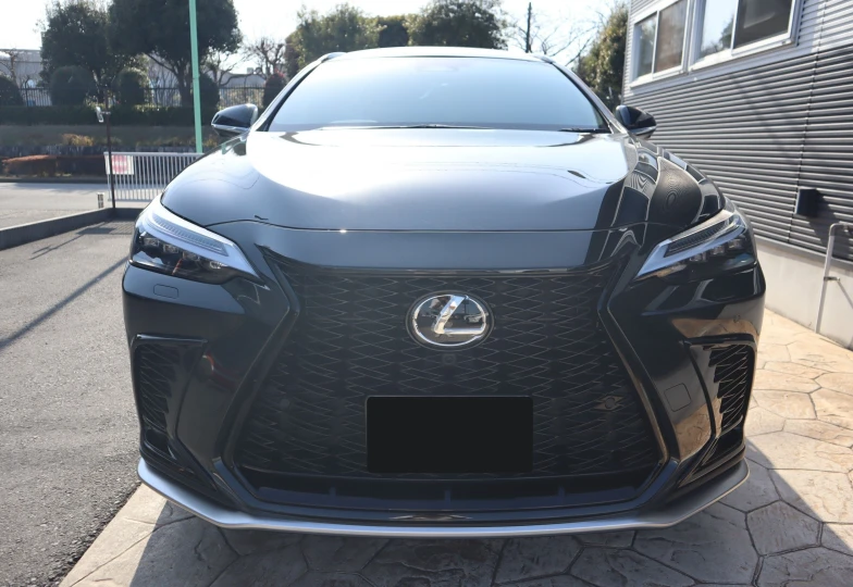 Lexus NX Black