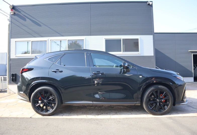 Lexus NX Black