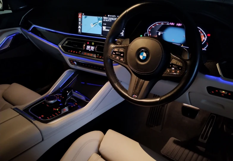 BMW X6 Темно-красный