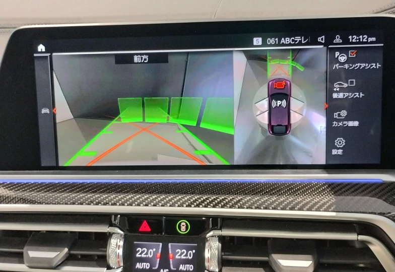 BMW X6 Темно-красный