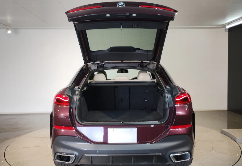 BMW X6 Темно-красный