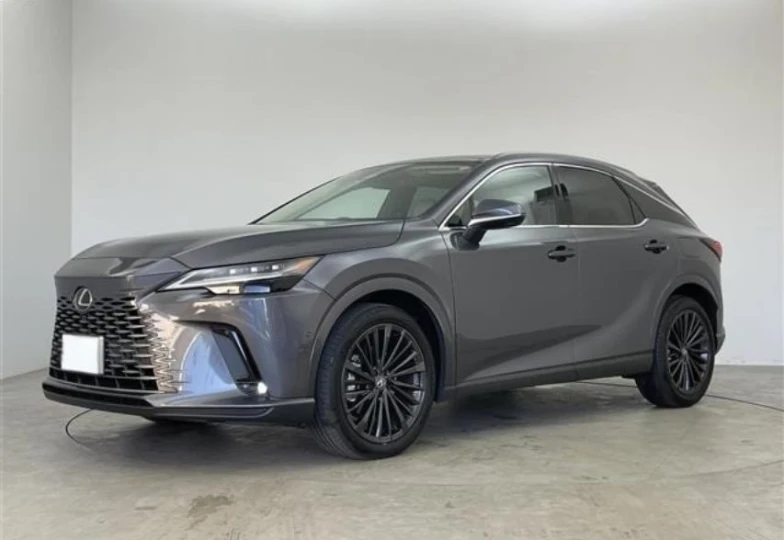 Lexus RX Grey