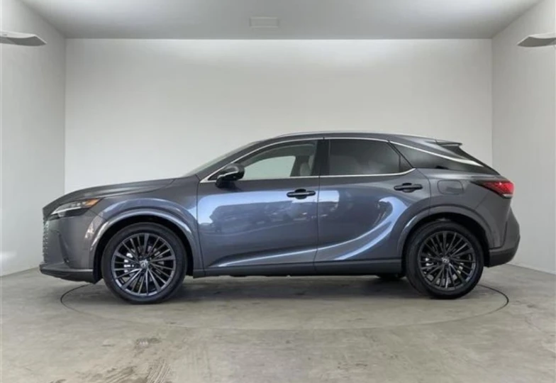 Lexus RX Grey