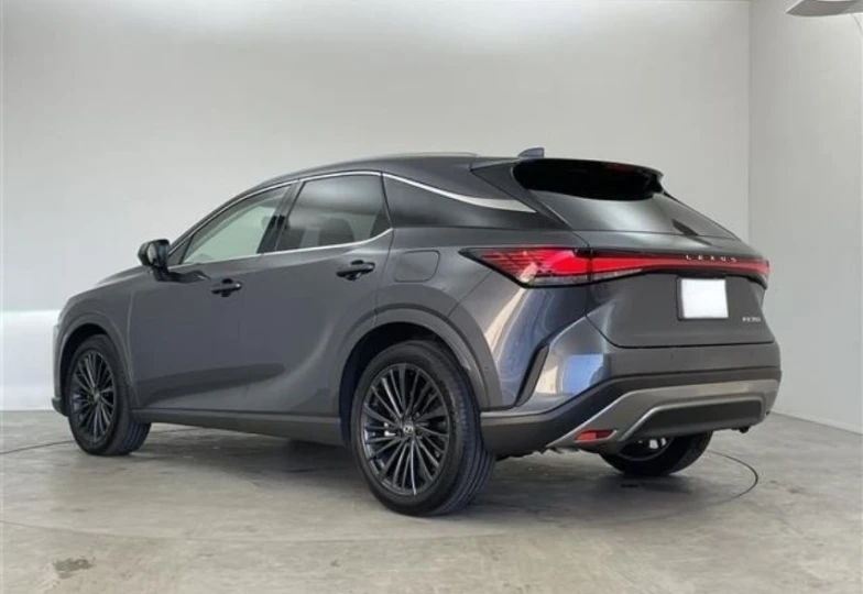 Lexus RX Grey