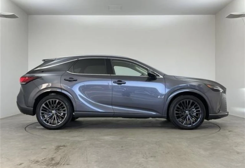 Lexus RX Grey