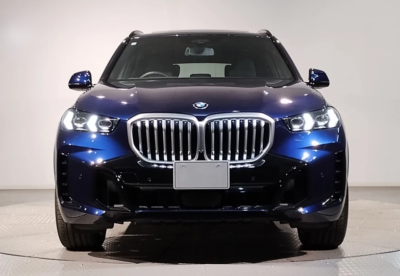 BMW X5 Синий