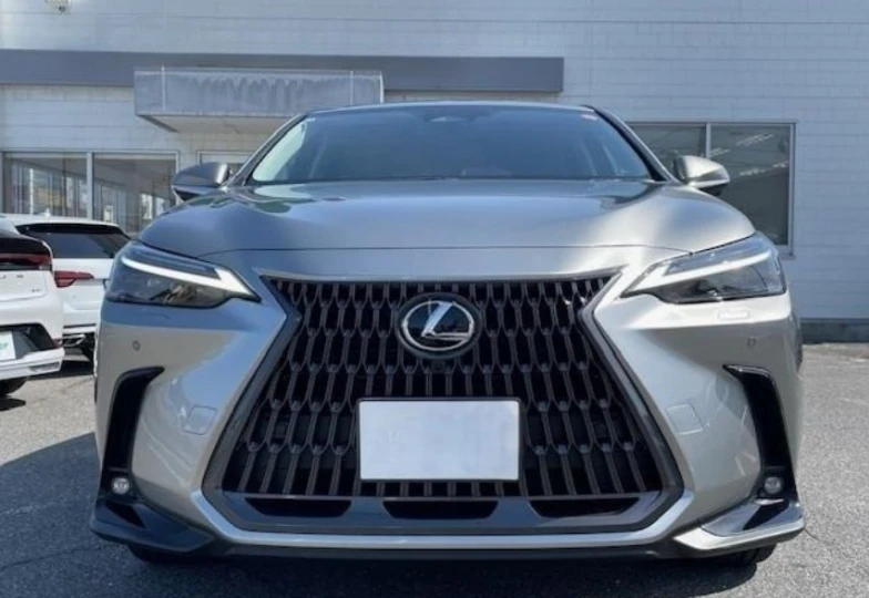 Lexus NX Grey