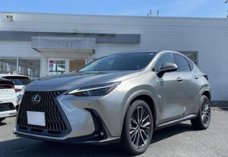 Lexus NX Grey